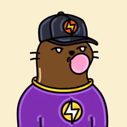 Alpha Cat #8748