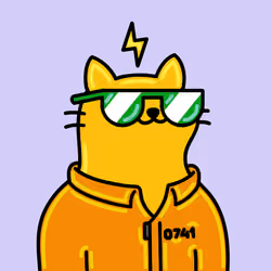 Alpha Cat #8669