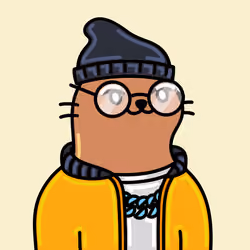Alpha Cat #6869