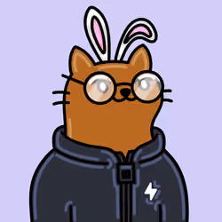 Alpha Cat #3498