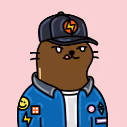 Alpha Cat #6472