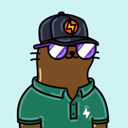 Alpha Cat #64