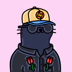 Alpha Cat #3690