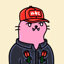 Alpha Cat #3503