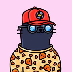 Alpha Cat #7779