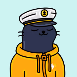 Alpha Cat #3678