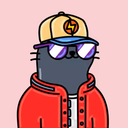 Alpha Cat #934