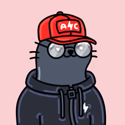 Alpha Cat #9781