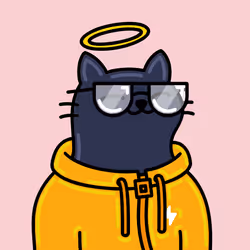 567