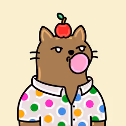 Alpha Cat #8731