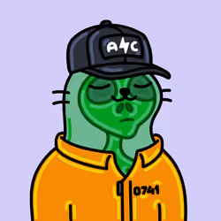 Alpha Cat #8592