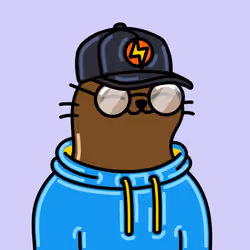 Alpha Cat #1562
