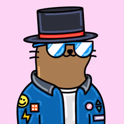 Alpha Cat #6484