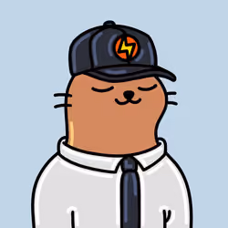 Alpha Cat #6883