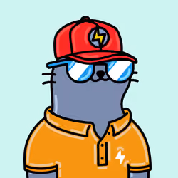 Alpha Cat #8113