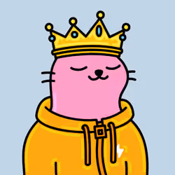 Alpha Cat #9542