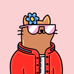Alpha Cat #6505