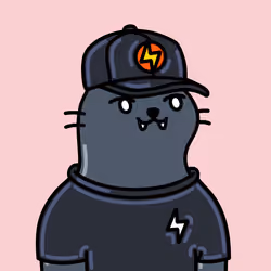 Alpha Cat #907
