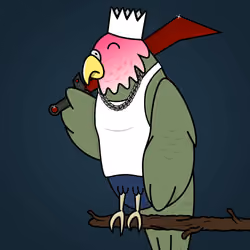 Mad Parrot Crew #13