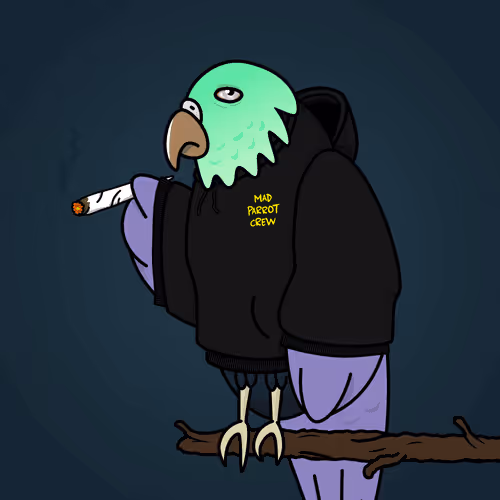 Mad Parrot Crew