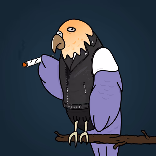 Mad Parrot Crew
