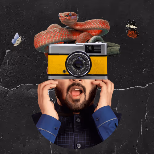 Collagebots