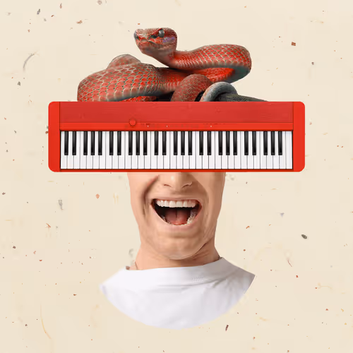 Collagebots