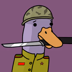1161