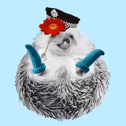 Hedgehog #425