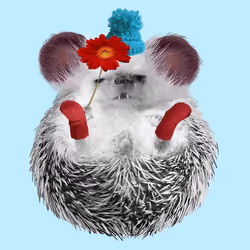 Hedgehog #472