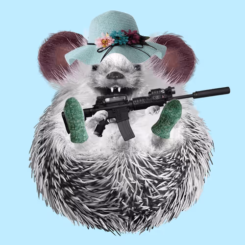 Hedgehogsinsocks
