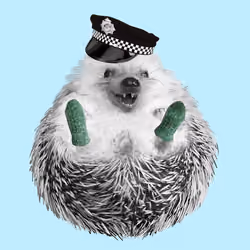 Hedgehog #423