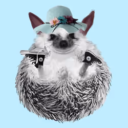 Hedgehog #749