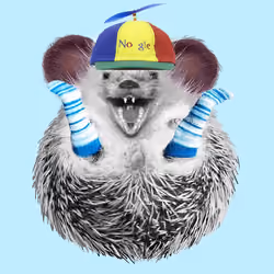 Hedgehog #531