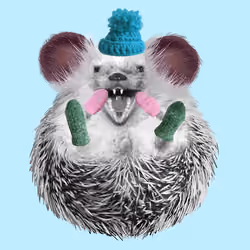 Hedgehog #619