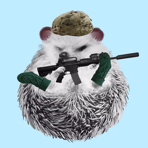 Hedgehog #370