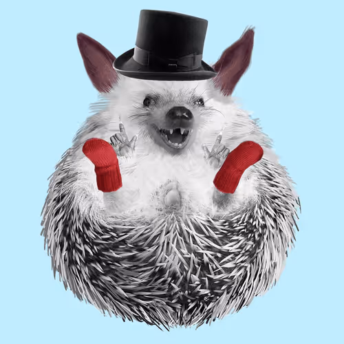 Hedgehogsinsocks