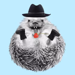 Hedgehog #508