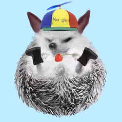 Hedgehog #748