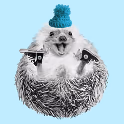 Hedgehog #300