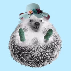 Hedgehog #380