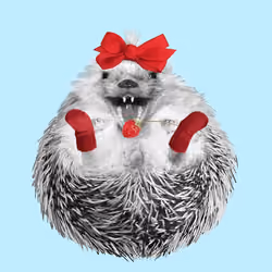 Hedgehog #473