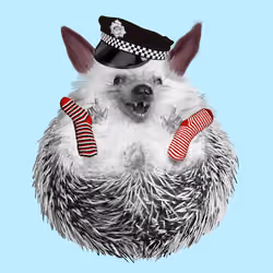 Hedgehog #357