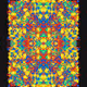 241