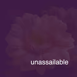858