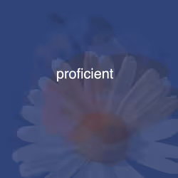 955