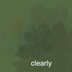307