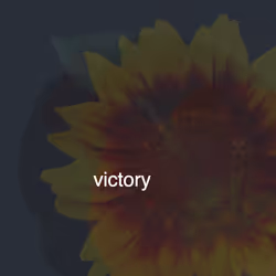 509