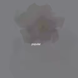 703