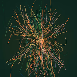 unraveling: iv of v